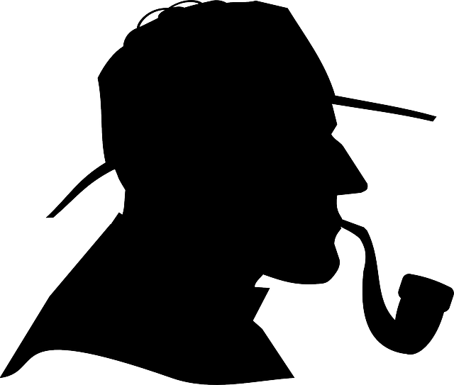 sleuth
